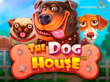 The Dog House